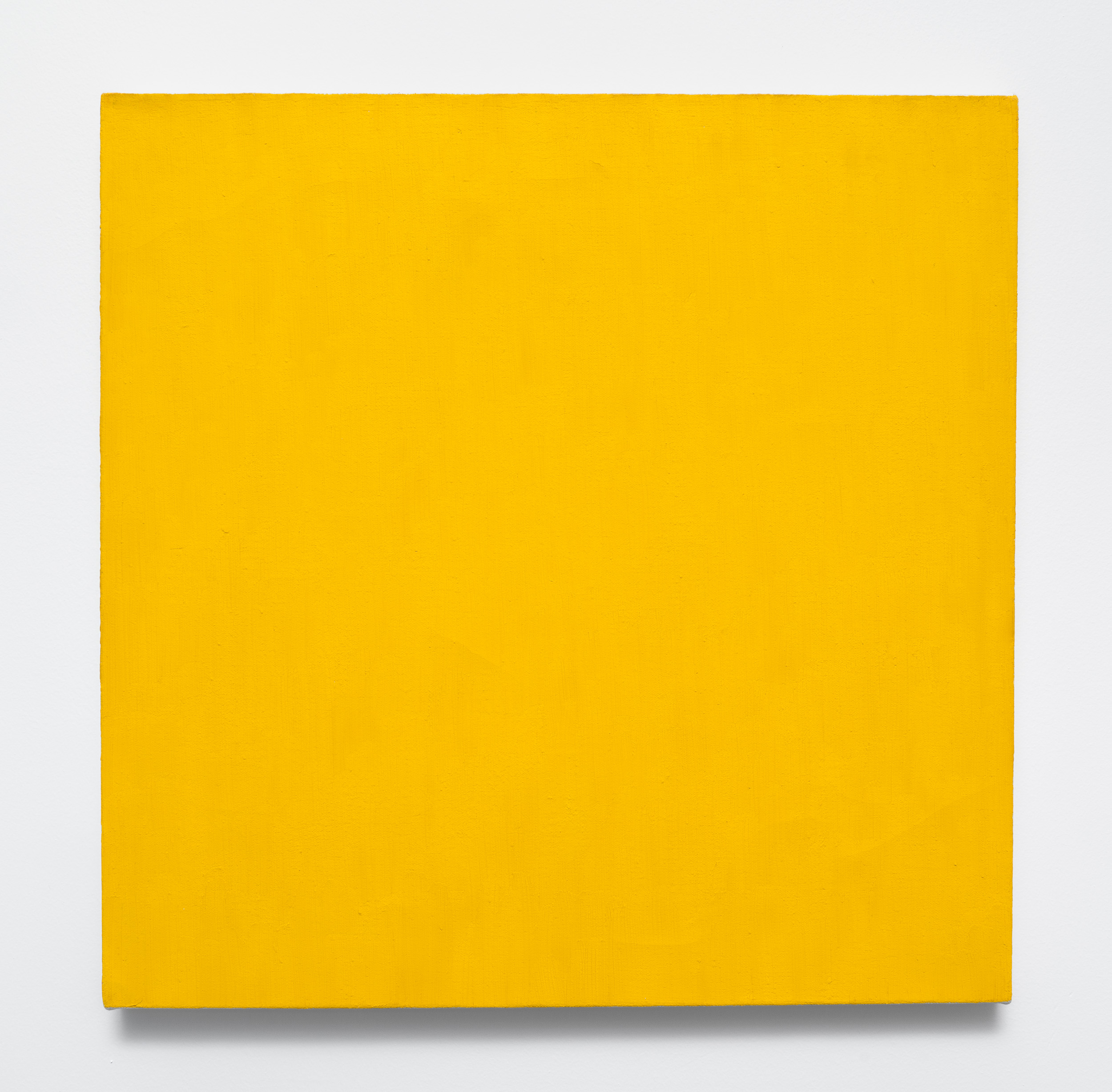 Cadmium Yellow Medium