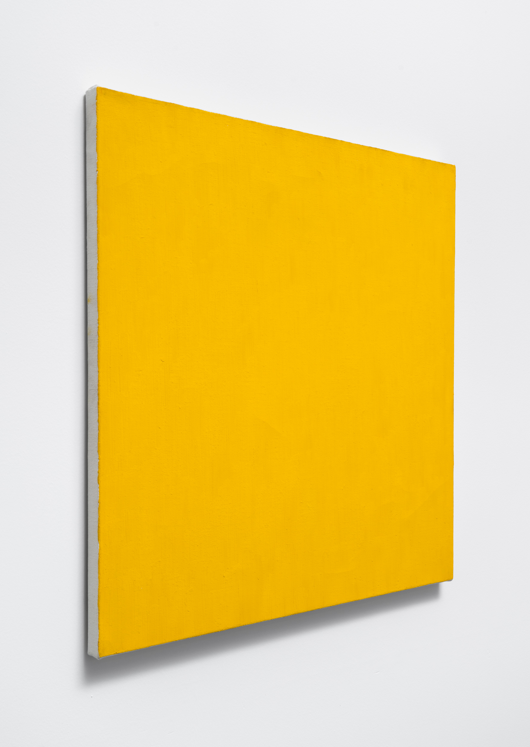 Cadmium Yellow Medium