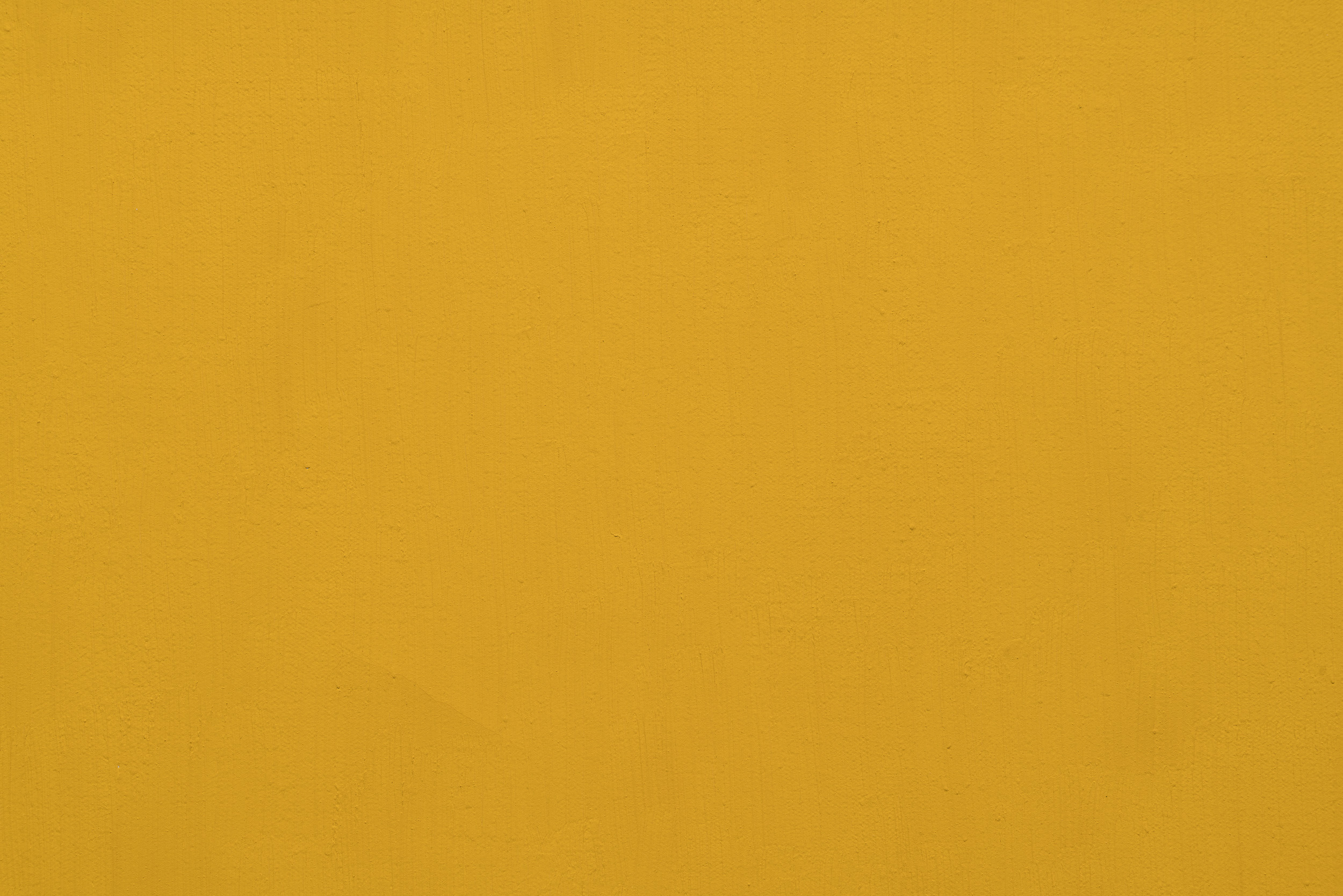 Cadmium Yellow Medium