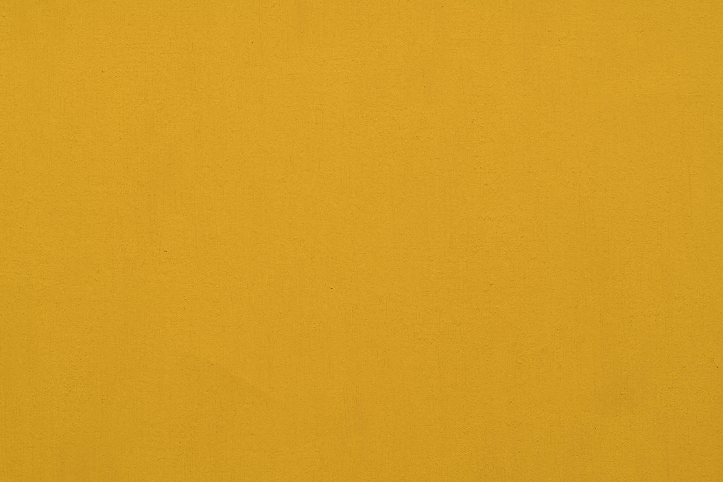 Cadmium Yellow Medium