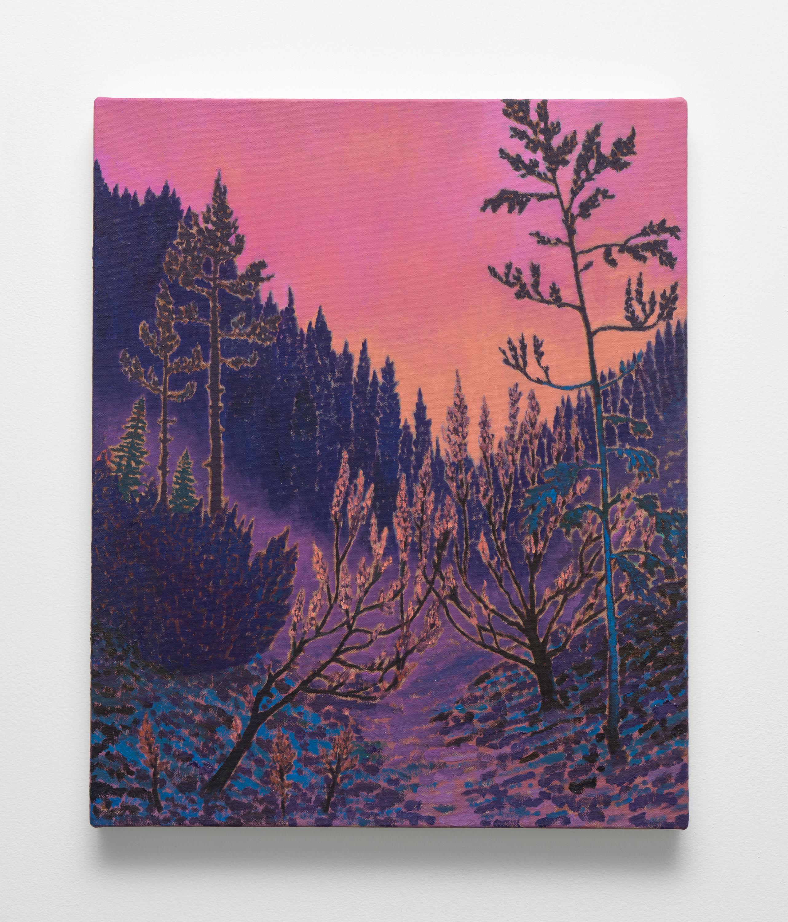 John McAllister