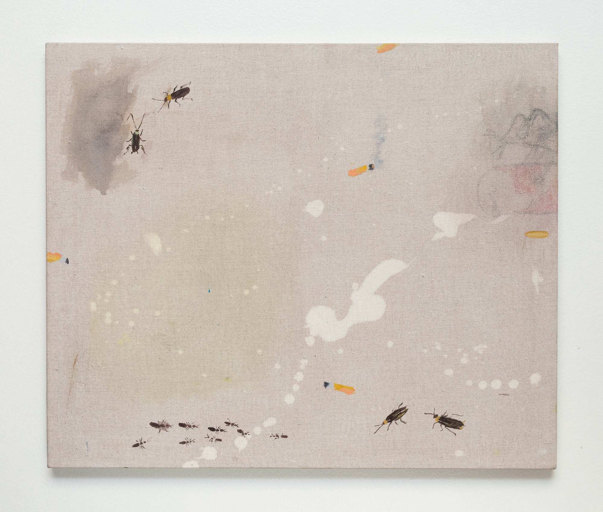 Mari Eastman